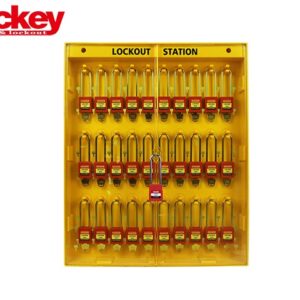 Combined Lockout Station LS11